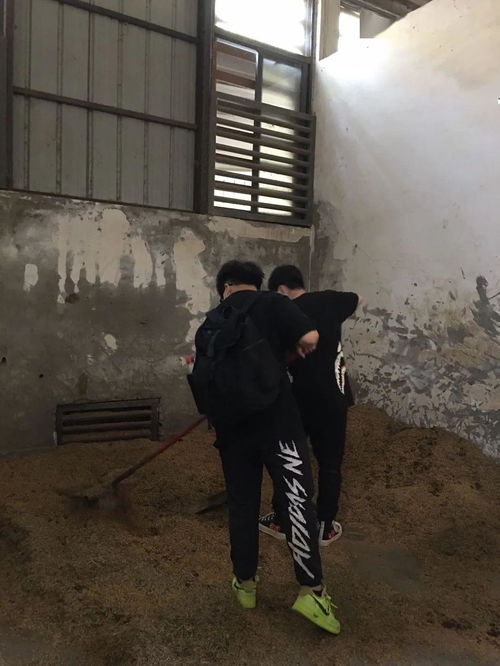 变身帅气骑手 体验马术乐趣,牛津公学马术课开课啦