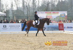2013中国马术节首日 马术芭蕾盛装舞步华丽登场